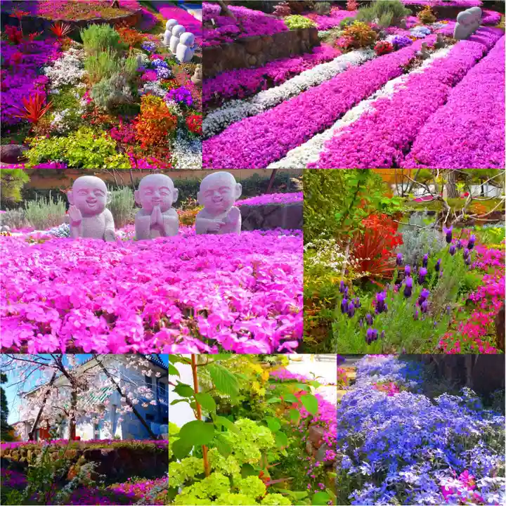 寿量山 速成寺(奈良県)