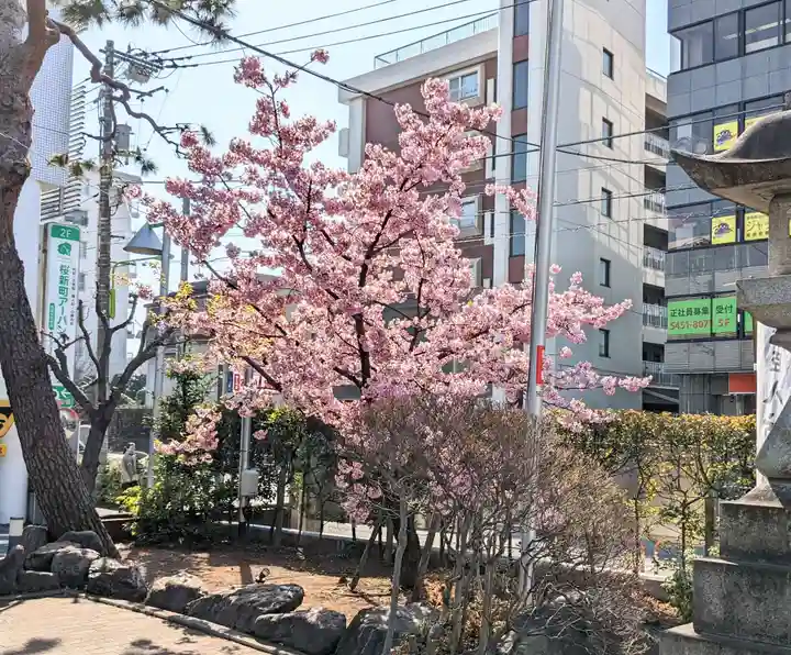 桜神宮(東京都)