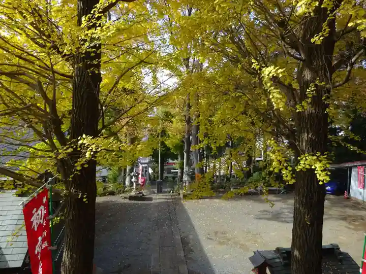 弥生神社の自然