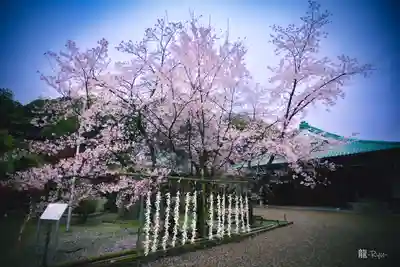 龍田大社(奈良県)