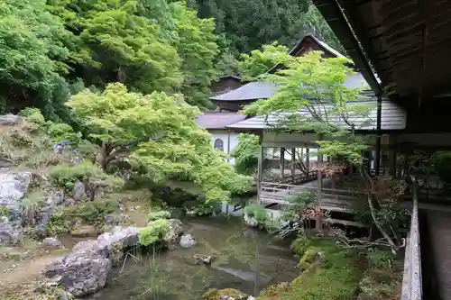 常照皇寺の庭園