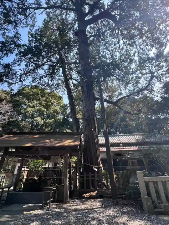 鎌田神明宮(静岡県)