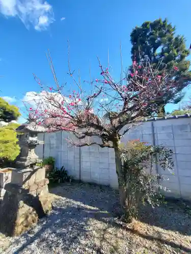 逆藤天満宮(栃木県)