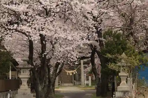 田村神社の景色