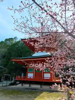 慈尊院の{uncategorized: "未分類", other: "その他", undefined: "問題あり", building: "その他建物", grave: "お墓", sacred_gate: "鳥居", guardian: "狛犬", statue: "像", buddha: "仏像", history: "歴史", nature: "自然", garden: "庭園", animal: "動物", pagoda: "塔", temizu: "手水舎", mountain_gate: "山門・神門", sanctuary: "本殿・本堂", subordinate: "末社・摂社", art: "芸術", scenery: "景色", jizo: "地蔵", ema: "絵馬", goshuin: "御朱印", omikuji: "おみくじ", items: "授与品その他", amulet: "お守り", goshuincho: "御朱印帳", eats: "食事", festival: "お祭り", votive_dance: "神楽", shichigosan: "七五三参", wedding: "結婚式", experience: "体験その他", initially: "初詣", around: "周辺", anti_infection: "感染症対策"}