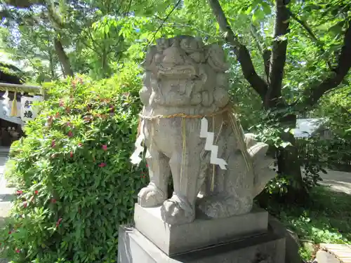 堀越神社の狛犬