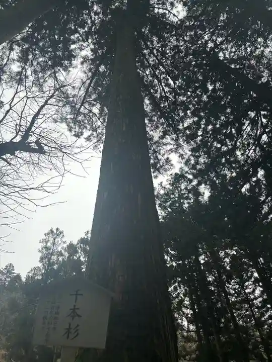 榛名神社(群馬県)