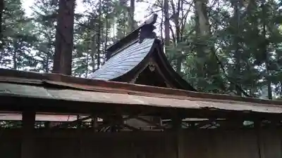 鹿島神社の本殿・本堂