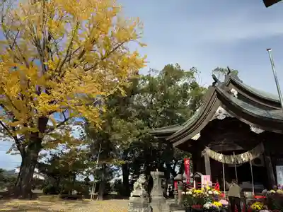 美奈宜神社(福岡県)