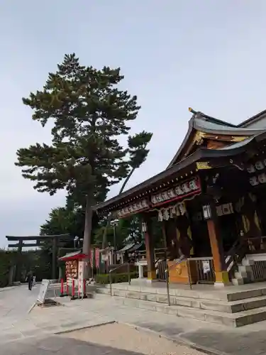中野沼袋氷川神社(東京都)