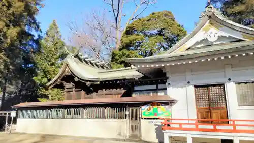 白岡八幡神社(埼玉県)