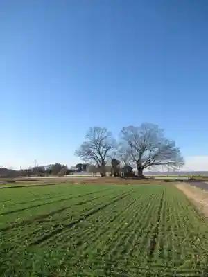 神明神社(千葉県)
