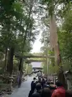 椿大神社の{uncategorized: "未分類", other: "その他", undefined: "問題あり", building: "その他建物", grave: "お墓", sacred_gate: "鳥居", guardian: "狛犬", statue: "像", buddha: "仏像", history: "歴史", nature: "自然", garden: "庭園", animal: "動物", pagoda: "塔", temizu: "手水舎", mountain_gate: "山門・神門", sanctuary: "本殿・本堂", subordinate: "末社・摂社", art: "芸術", scenery: "景色", jizo: "地蔵", ema: "絵馬", goshuin: "御朱印", omikuji: "おみくじ", items: "授与品その他", amulet: "お守り", goshuincho: "御朱印帳", eats: "食事", festival: "お祭り", votive_dance: "神楽", shichigosan: "七五三参", wedding: "結婚式", experience: "体験その他", initially: "初詣", around: "周辺", anti_infection: "感染症対策"}