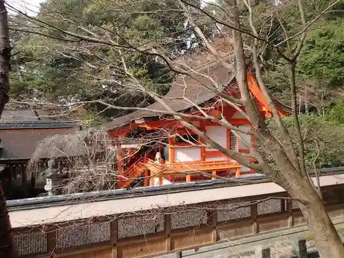 出雲大神宮の本殿・本堂