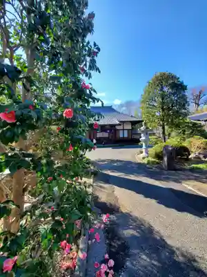 興聖寺(栃木県)