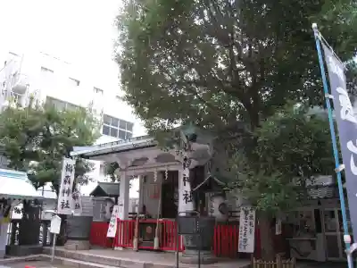 椙森神社の本殿・本堂