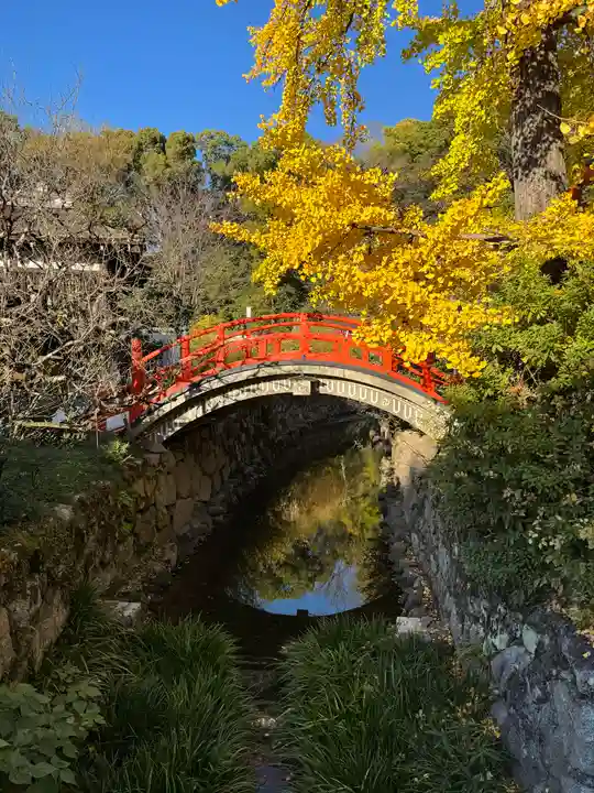 賀茂御祖神社(下鴨神社)(京都府)