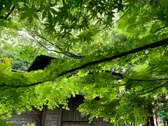 滑川神社 - 仕事と子どもの守り神(福島県)