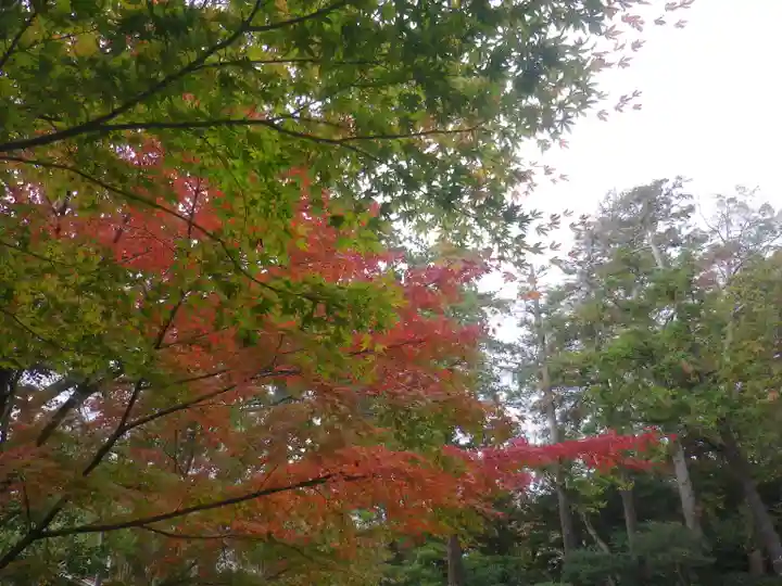 鶴岡八幡宮の自然