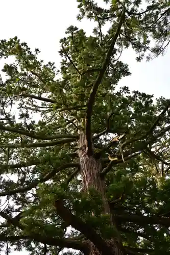 八幡宮(富山県)