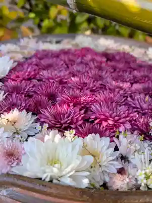 出雲大神宮の{uncategorized: "未分類", other: "その他", undefined: "問題あり", building: "その他建物", grave: "お墓", sacred_gate: "鳥居", guardian: "狛犬", statue: "像", buddha: "仏像", history: "歴史", nature: "自然", garden: "庭園", animal: "動物", pagoda: "塔", temizu: "手水舎", mountain_gate: "山門・神門", sanctuary: "本殿・本堂", subordinate: "末社・摂社", art: "芸術", scenery: "景色", jizo: "地蔵", ema: "絵馬", goshuin: "御朱印", omikuji: "おみくじ", items: "授与品その他", amulet: "お守り", goshuincho: "御朱印帳", eats: "食事", festival: "お祭り", votive_dance: "神楽", shichigosan: "七五三参", wedding: "結婚式", experience: "体験その他", initially: "初詣", around: "周辺", anti_infection: "感染症対策"}