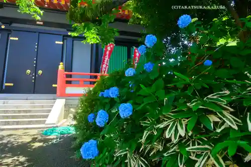 高幡不動尊　金剛寺(東京都)