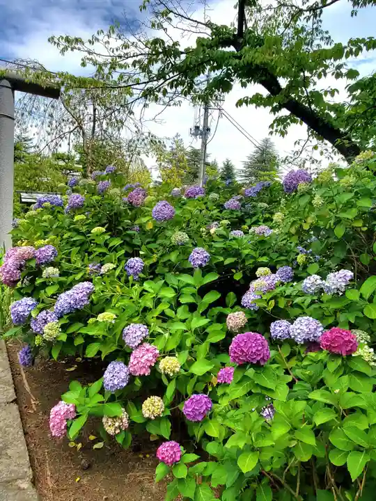開成山大神宮(福島県)