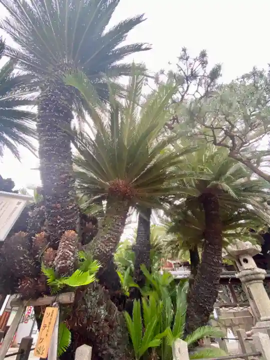 御香宮神社の自然