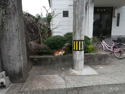 蛭子神社（牟岐港）の動物
