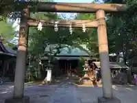 仲町氷川神社の鳥居