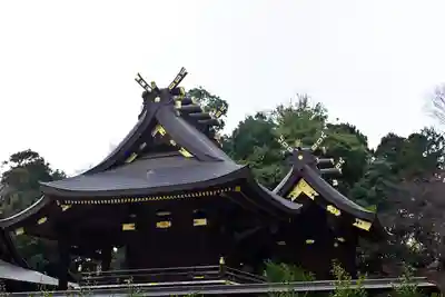 鷲宮神社(埼玉県)
