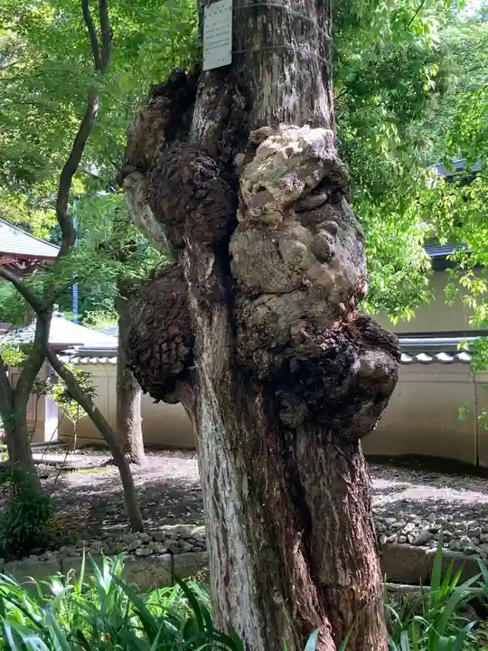東福寺(東京都)