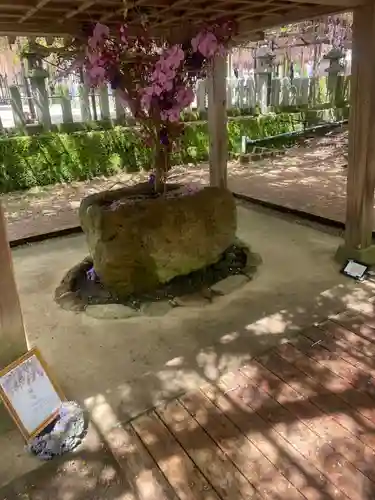 素盞鳴神社の手水舎