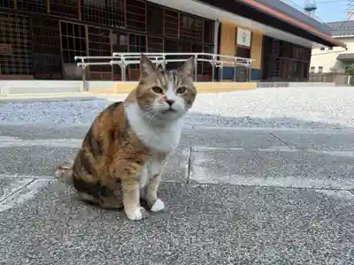 秩父札所十三番 慈眼寺(埼玉県)