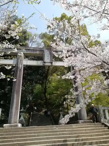 菊池神社の鳥居