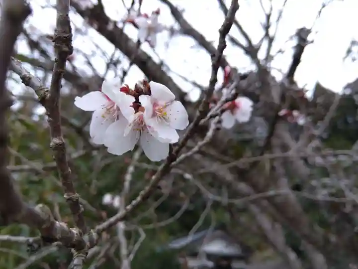 白山神社(石川県)