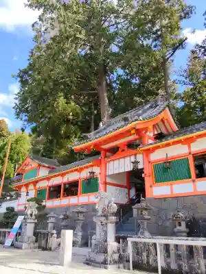 墨坂神社の{uncategorized: "未分類", other: "その他", undefined: "問題あり", building: "その他建物", grave: "お墓", sacred_gate: "鳥居", guardian: "狛犬", statue: "像", buddha: "仏像", history: "歴史", nature: "自然", garden: "庭園", animal: "動物", pagoda: "塔", temizu: "手水舎", mountain_gate: "山門・神門", sanctuary: "本殿・本堂", subordinate: "末社・摂社", art: "芸術", scenery: "景色", jizo: "地蔵", ema: "絵馬", goshuin: "御朱印", omikuji: "おみくじ", items: "授与品その他", amulet: "お守り", goshuincho: "御朱印帳", eats: "食事", festival: "お祭り", votive_dance: "神楽", shichigosan: "七五三参", wedding: "結婚式", experience: "体験その他", initially: "初詣", around: "周辺", anti_infection: "感染症対策"}
