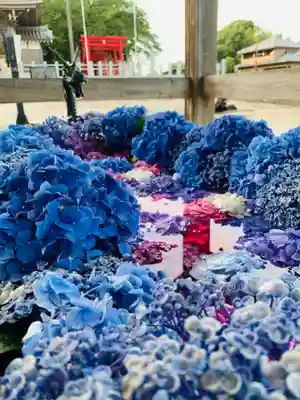 金井神社の手水舎