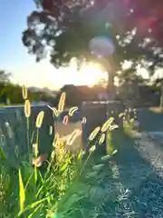 白鳥神社(長野県)