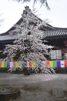 寛永寺(根本中堂)(東京都)