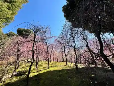 城南宮(京都府)