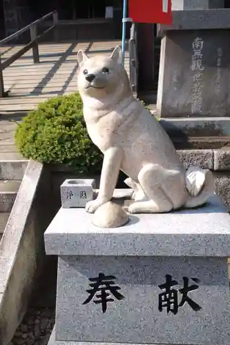 不動院(板橋不動尊)の狛犬