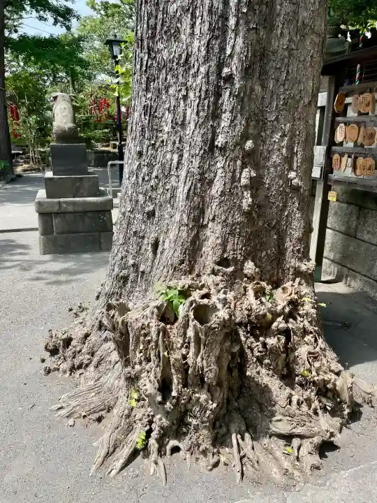 亀岡八幡宮(亀岡八幡神社)(神奈川県)
