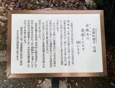 井伊谷宮(静岡県)
