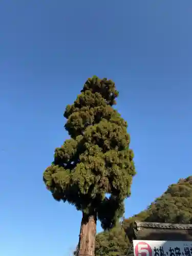 大神神社(奈良県)