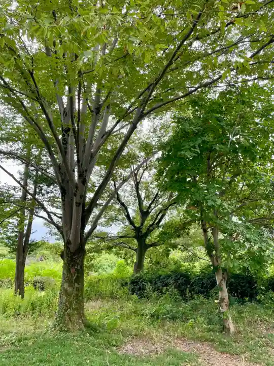 白龍弁財天社(雷電神社末社)(群馬県)