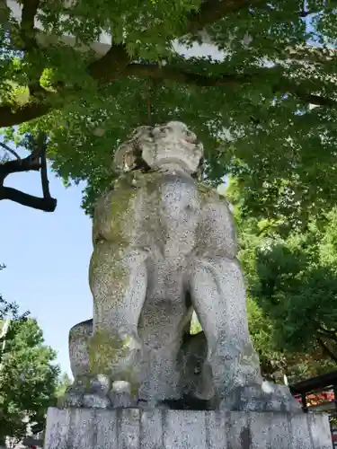 秩父神社の狛犬