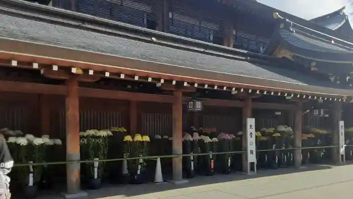 寒川神社(神奈川県)