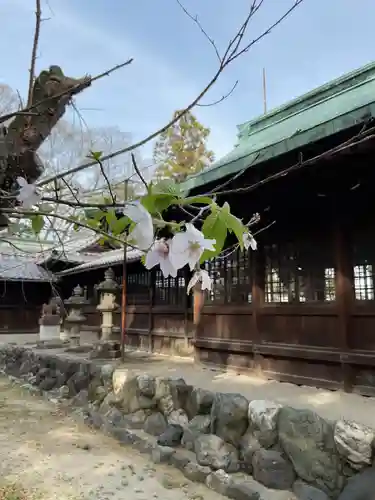 高田波蘇伎神社のその他建物