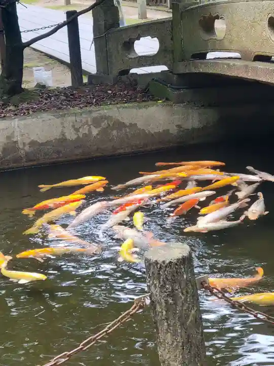 石鎚神社 口之宮 本社(愛媛県)